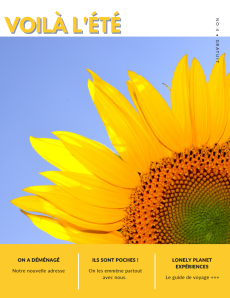 Capture d'écran 2024-03-20 153225